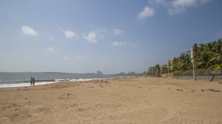 Beaches, grounds, gardens in Mumbai to remain open from 6 am to 10 pm on all days: BMC