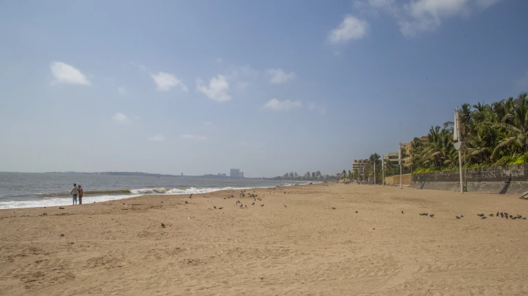 Beaches, grounds, gardens in Mumbai to remain open from 6 am to 10 pm on all days: BMC Beaches, grounds, gardens in Mumbai to remain open from 6 am to 10 pm on all days: BMC
