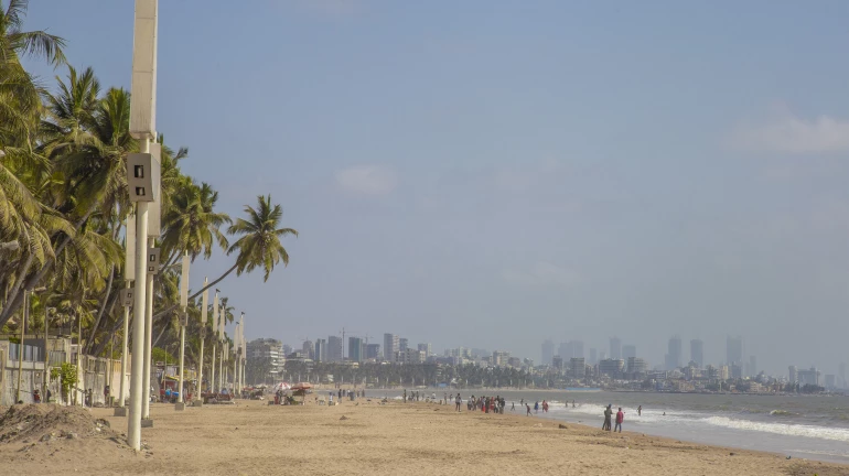 सुप्रीम कोर्ट ने वर्सोवा बीच की दीवार को रोकने का निर्देश दिया सुप्रीम कोर्ट ने वर्सोवा बीच की दीवार को रोकने का निर्देश दिया