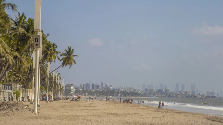 Conservation Group Adopts 7 Beaches in Mumbai to Ensure Cleanliness Conservation Group Adopts 7 Beaches in Mumbai to Ensure Cleanliness