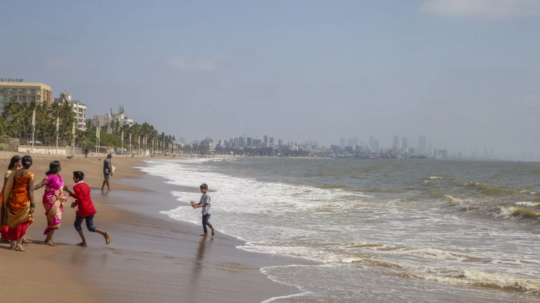 Volunteers Mull Resuming Dadar Beach Cleanup Drives as More Garbage Has Accumulated Volunteers Mull Resuming Dadar Beach Cleanup Drives as More Garbage Has Accumulated