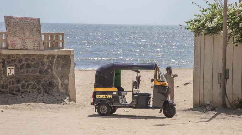 Mumbai Rains: "No Public Will Be Allowed At Beaches In Mumbai," Says BMC Mumbai Rains: "No Public Will Be Allowed At Beaches In Mumbai," Says BMC