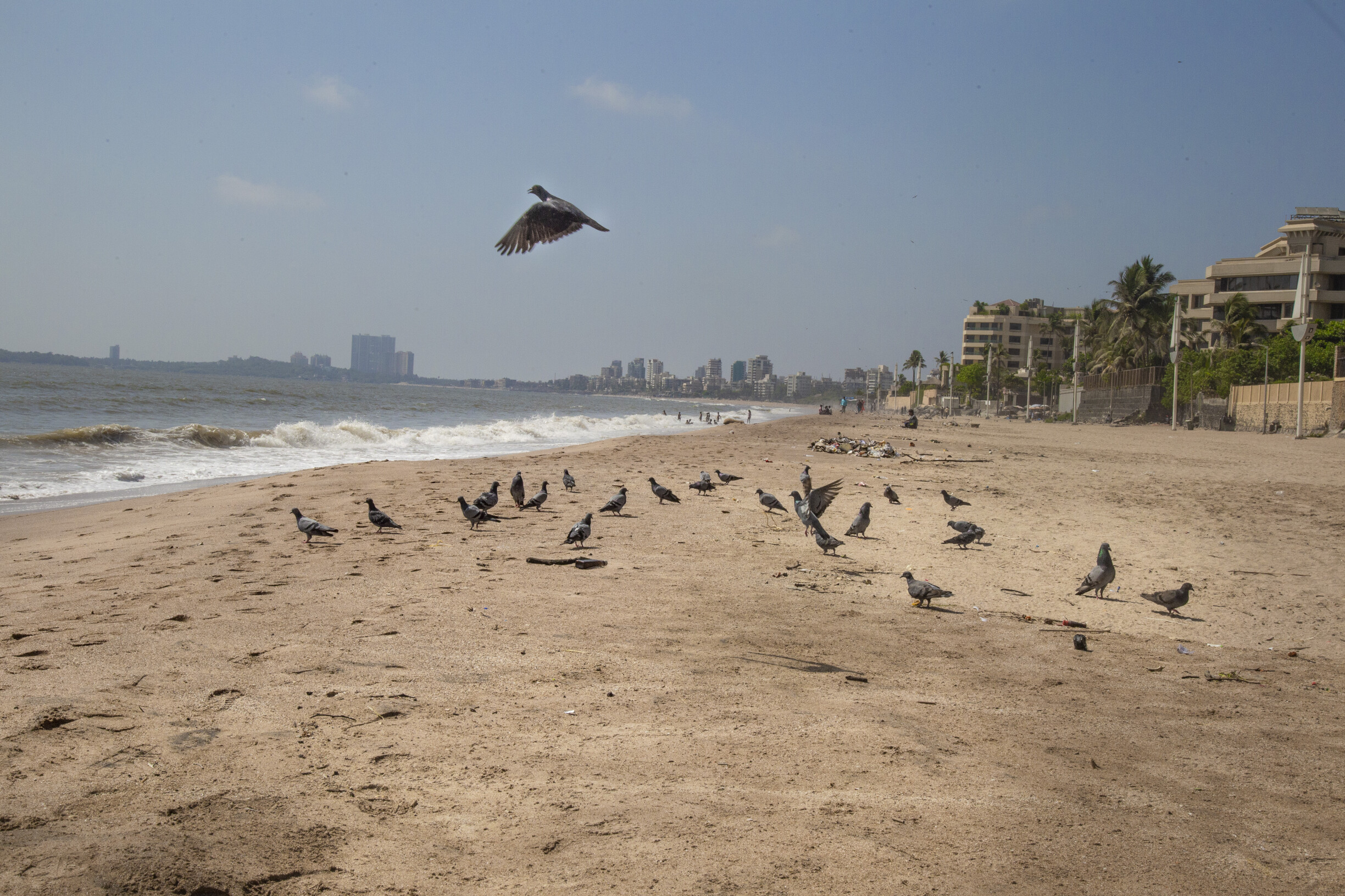 जुहू बीच: मुंबई का सबसे लंबा समुद्र तट