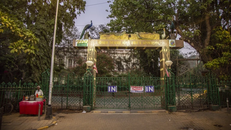 Wildlife Week at Byculla Zoo: Marine Walks, Nature Trails, Wildlife-Themed Plays & More Wildlife Week at Byculla Zoo: Marine Walks, Nature Trails, Wildlife-Themed Plays & More