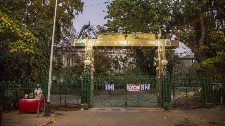 Mumbai's Byculla Zoo to expand by 10 acres