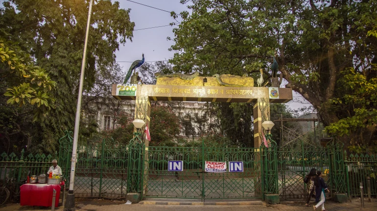 Byculla Zoo Opens for Public After Prolonged Closure; 1,419 People Visit on Day 1 Byculla Zoo Opens for Public After Prolonged Closure; 1,419 People Visit on Day 1
