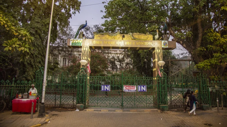 Byculla Zoo receives India's first-ever walk-through aviary Byculla Zoo receives India's first-ever walk-through aviary