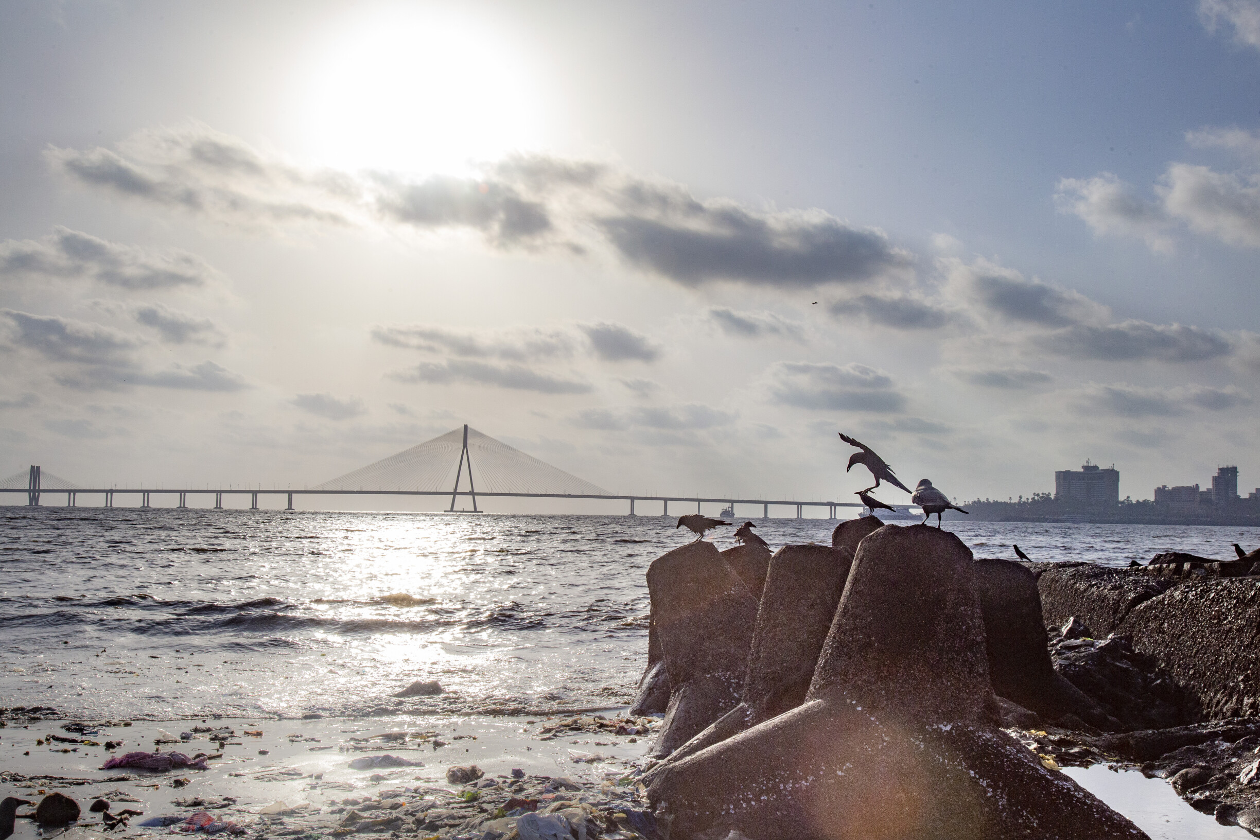 वांद्रे-वर्सोवा सीलिंकसाठी करावी लागणार 4 वर्षांची प्रतिक्षा