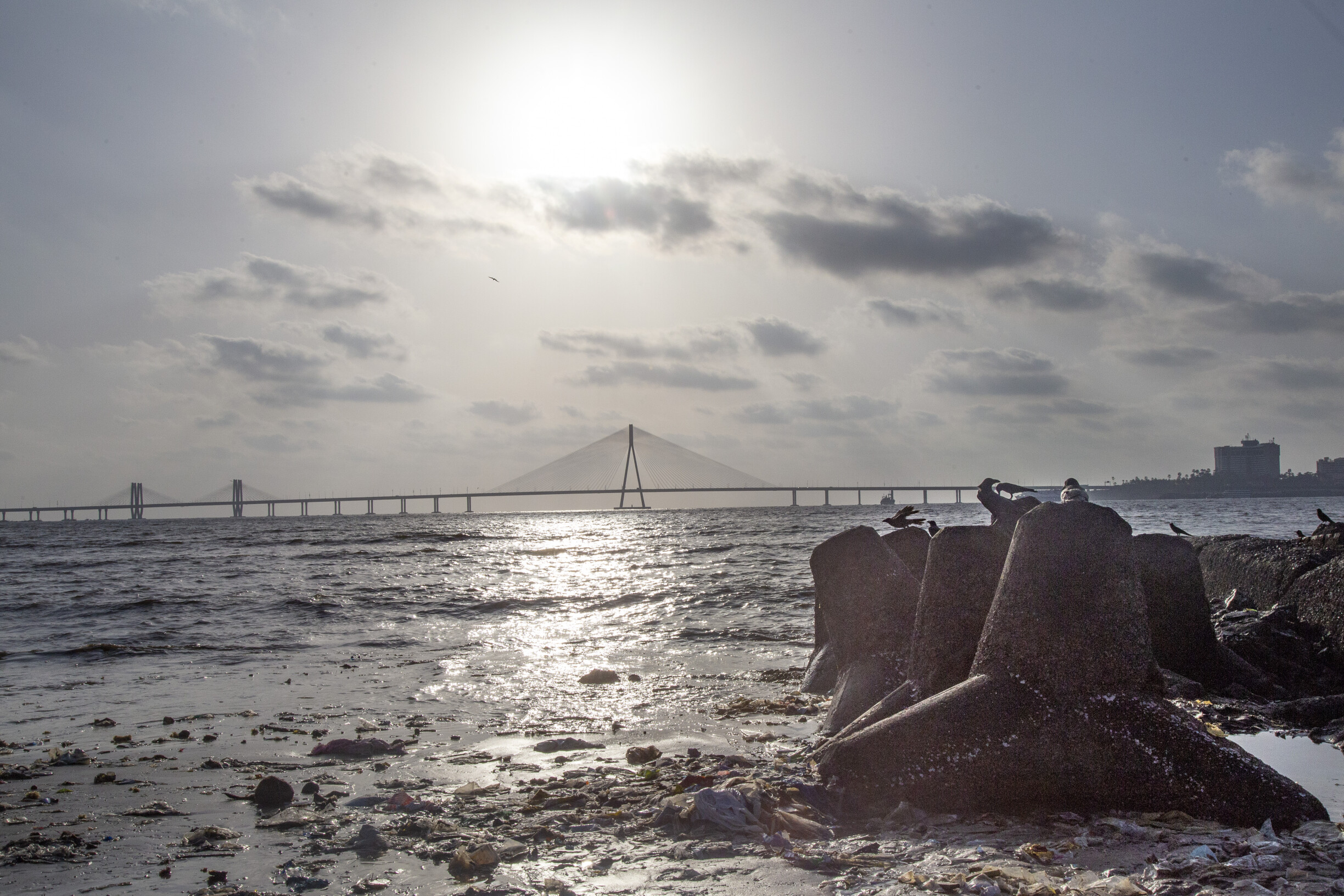 तूफान के कारण बंद किया गया बांद्रा वर्ली सी लिंक खोला गया