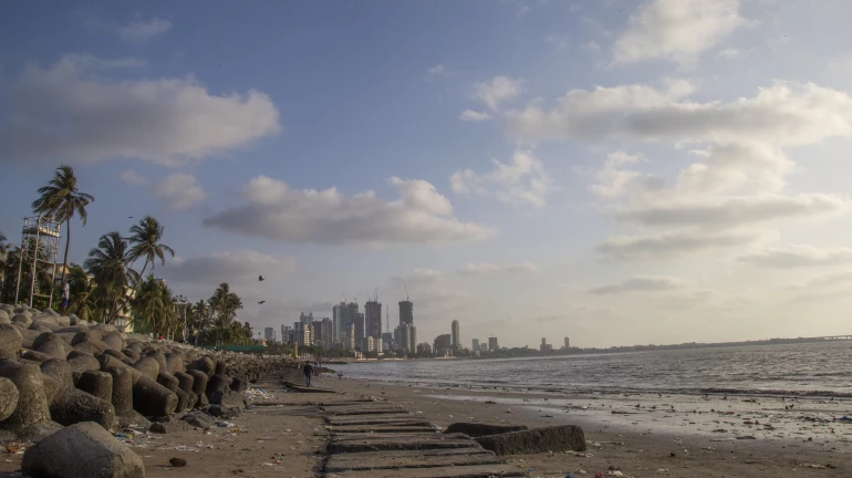 तुर्की विवाद के बाद BMC ने शहर के समुद्र तटों के लिए 6 रोबोटिक जल बचाव वाहन खरीदने के लिए नया टेंडर जारी किया तुर्की विवाद के बाद BMC ने शहर के समुद्र तटों के लिए 6 रोबोटिक जल बचाव वाहन खरीदने के लिए नया टेंडर जारी किया