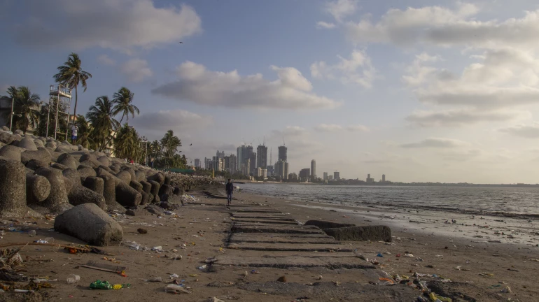 IMD Says Mumbai Will Experience Increased Heat and Humidity Going Into April IMD Says Mumbai Will Experience Increased Heat and Humidity Going Into April