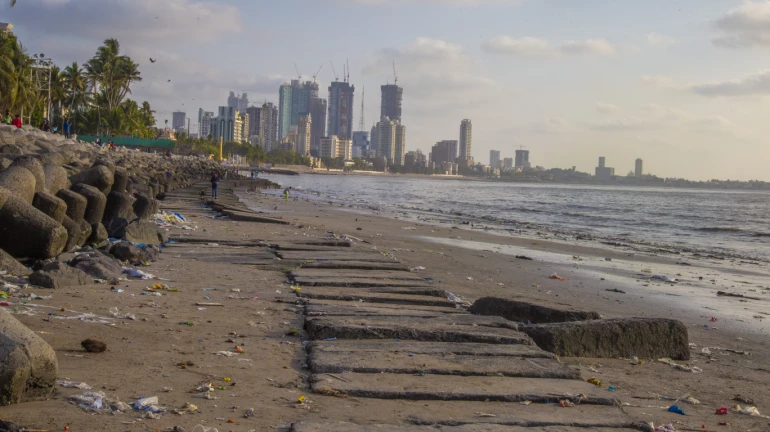 The Drastic Plastic Effect: Here's why Mumbai’s coastal stretch is under threat