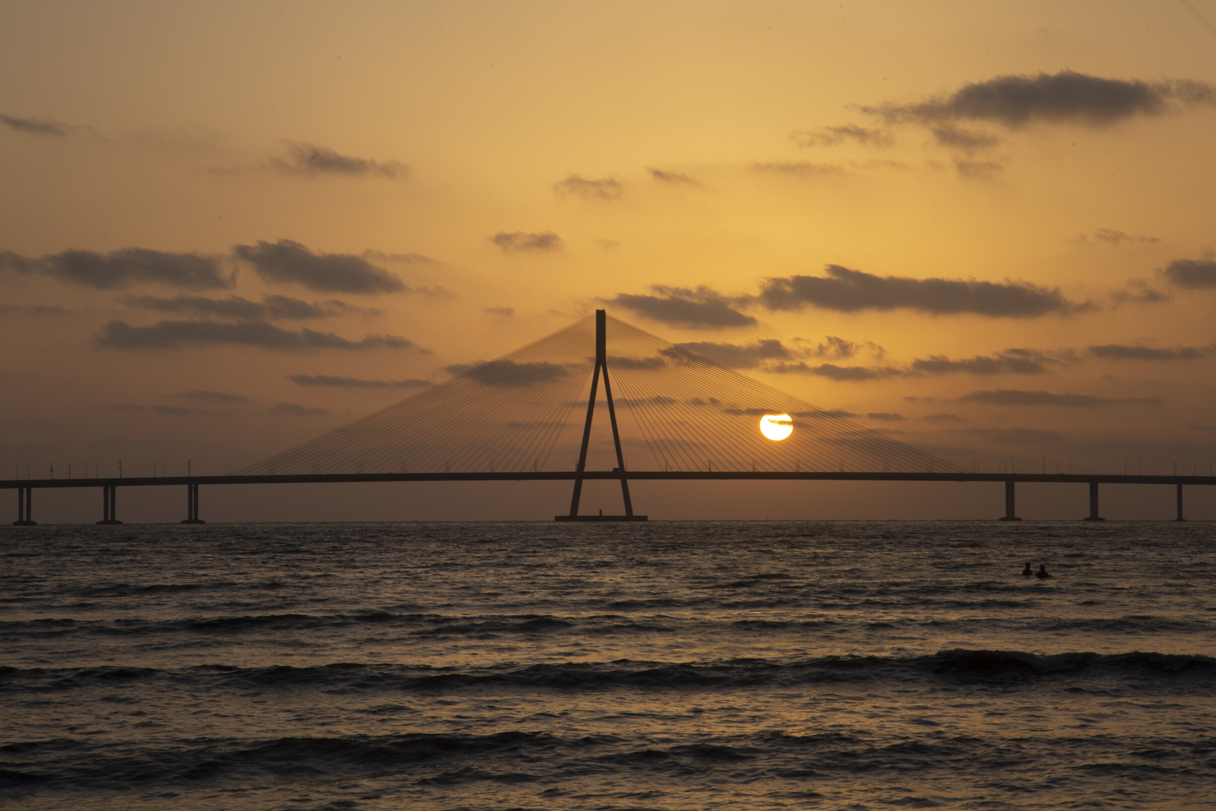 Bandra-Versova Sea Link New Changes Approved: 1,799 Mangroves To Be Removed