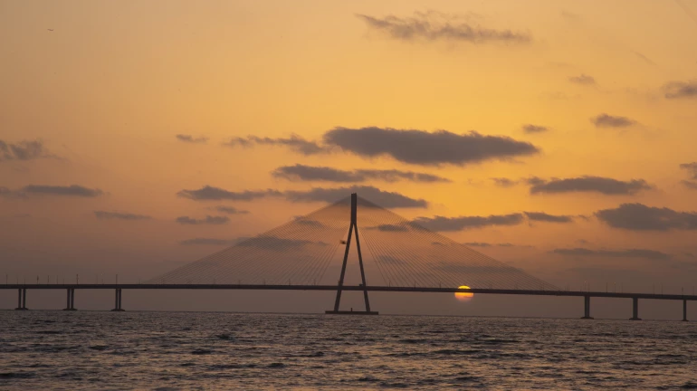 25 साल के युवक ने बांद्रा-वर्ली सी लिंक से लगाई छलांग 25 साल के युवक ने बांद्रा-वर्ली सी लिंक से लगाई छलांग