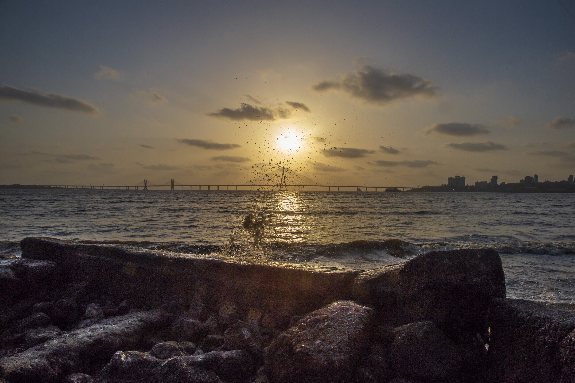 Worli: Civil Court Rules Against Family That Fed Birds on their Balcony