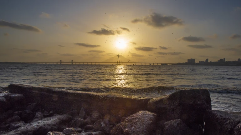 Citizens angered over stacked tetrapods on Bandra Bandstand Citizens angered over stacked tetrapods on Bandra Bandstand