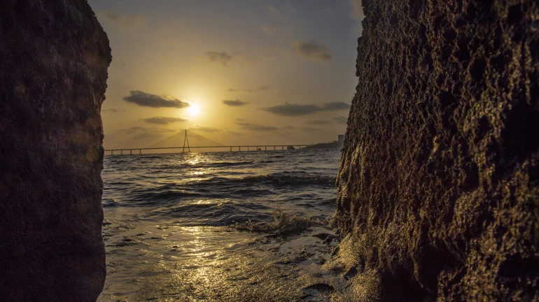 वर्ली मे प्रमुख स्लम पुनर्विकास परियोजना शुरू वर्ली मे प्रमुख स्लम पुनर्विकास परियोजना शुरू