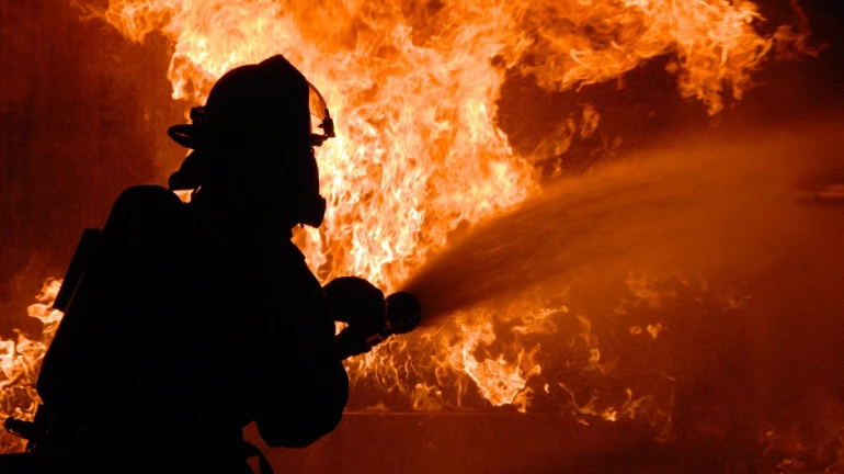 Thane: Timber Godown Gutted In A Massive Fire Thane: Timber Godown Gutted In A Massive Fire