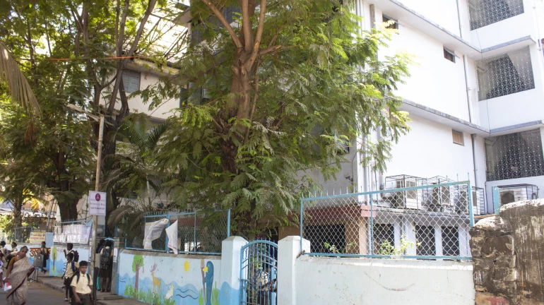 बेघरांसाठी मुंबईत 28 नवीन निवारागृहे स्थापन बेघरांसाठी मुंबईत 28 नवीन निवारागृहे स्थापन