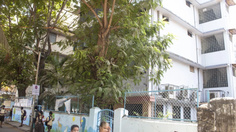 बीएमसी के शिक्षक 2 दिन में उपस्थित हों - बीएमसी कमिश्नर बीएमसी के शिक्षक 2 दिन में उपस्थित हों - बीएमसी कमिश्नर