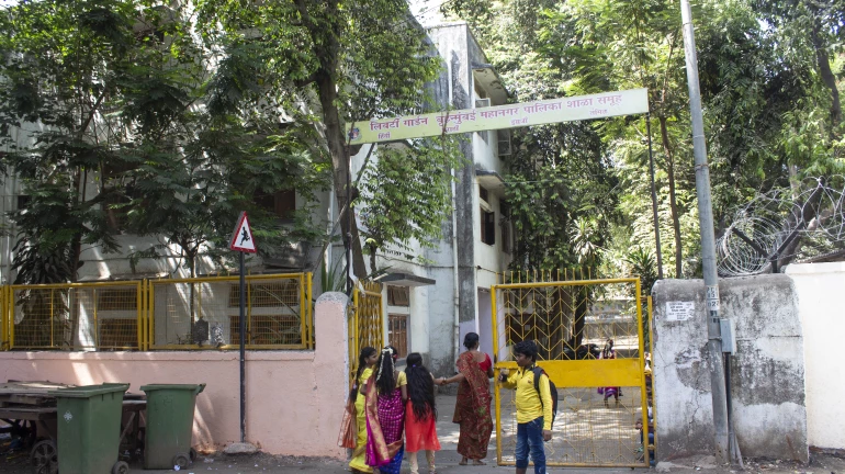 Maharashtra Bans Sale of Energy Drinks Like Sting Within 500 Metres of Schools Amid Child Health Concerns Maharashtra Bans Sale of Energy Drinks Like Sting Within 500 Metres of Schools Amid Child Health Concerns