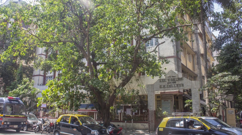 वसई-विरार में 563 इमारतें धोकादायक वसई-विरार में 563 इमारतें धोकादायक