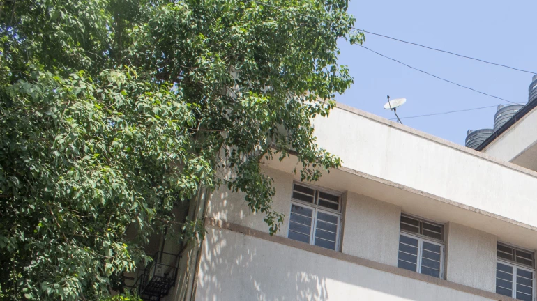 'लॉ' कॉलेजची मनमानी, सोशल मीडियावर कॉलेजचं नाव वापरण्यास बंदी 'लॉ' कॉलेजची मनमानी, सोशल मीडियावर कॉलेजचं नाव वापरण्यास बंदी