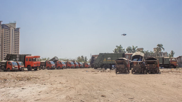 मुंबई- एम/ईस्ट वार्ड में खुले में कूड़ा जलाने और अवैध मलबा डंप करने के सबसे ज्यादा मामले मुंबई- एम/ईस्ट वार्ड में खुले में कूड़ा जलाने और अवैध मलबा डंप करने के सबसे ज्यादा मामले