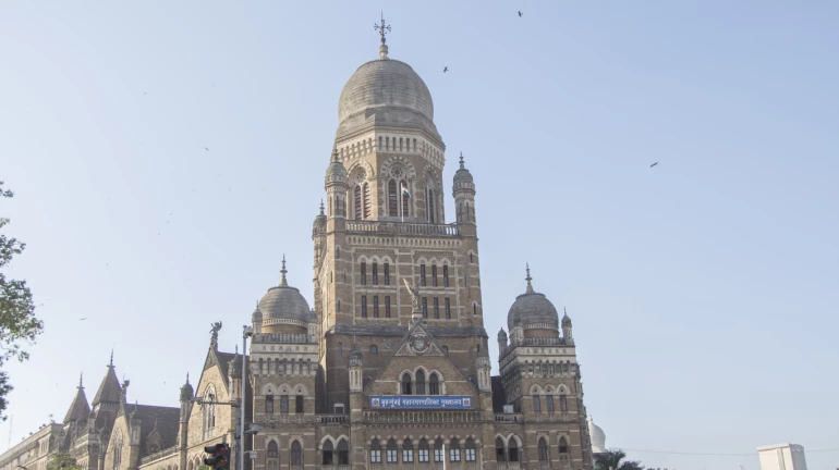 BMC Elections 2022: मार्च महिन्यात मुंबई महापालिका निवडणुकीची शक्यता