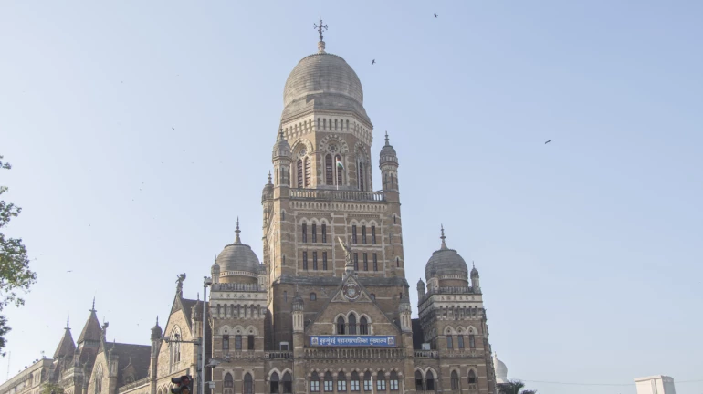 BMC Elections 2022: Draft Electoral Voter’s List Published