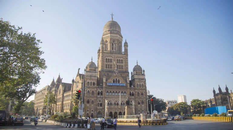 मुंबई महापालिकेत ९ वॉर्ड नव्यानं समाविष्ट करण्याला भाजपाचा विरोध