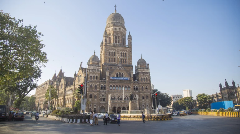BMC Adding 120 Additional Staffers to Assist COVID-19 War Rooms in Mumbai
