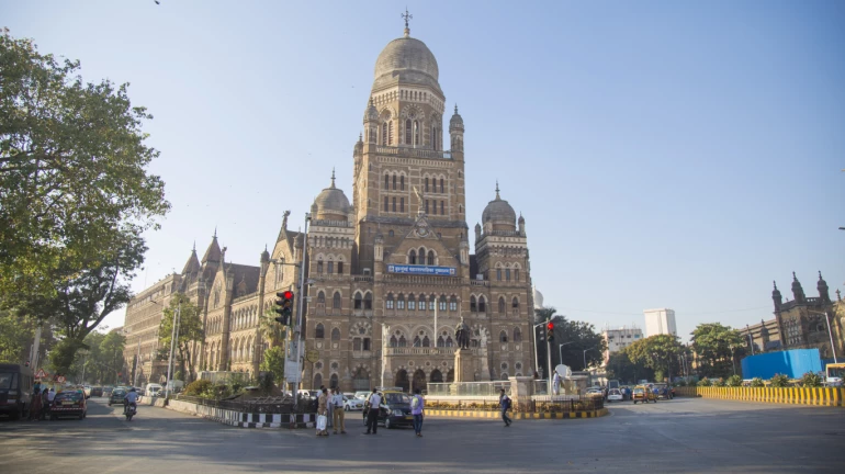 मुंबई में बीएमसी के दो आयुक्त हो - मंत्री असलम शेख