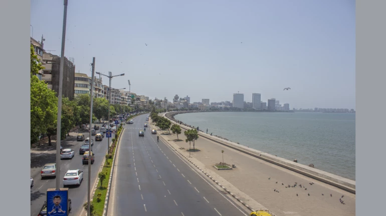 New Year: ३१ डिसेंबर निमित्ताने वाहतूक मार्गात बदल New Year: ३१ डिसेंबर निमित्ताने वाहतूक मार्गात बदल