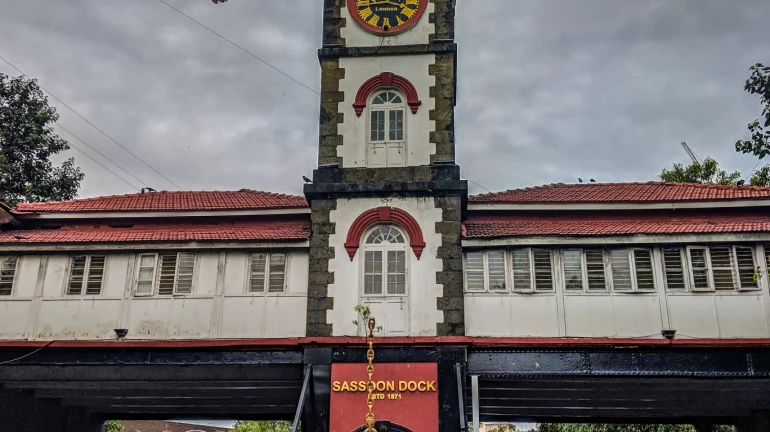 पालिका कुलाबाविरोधी असल्याचा माजी नगरसेवकाचा आरोप पालिका कुलाबाविरोधी असल्याचा माजी नगरसेवकाचा आरोप