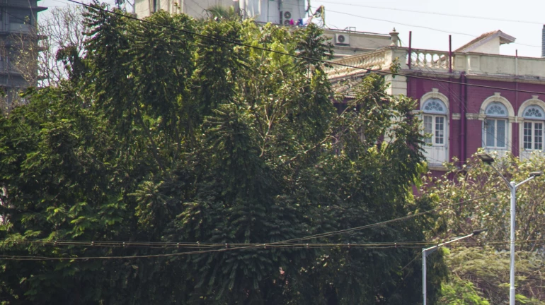 बेस्ट ने वेतन के रूप में बांटे डेढ़ करोड़ रुपए के सिक्के बेस्ट ने वेतन के रूप में बांटे डेढ़ करोड़ रुपए के सिक्के