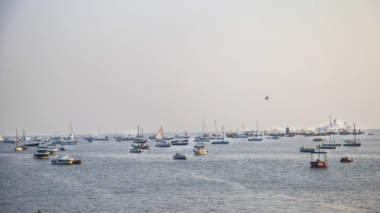 Mumbai: 94 Lights Installed at Gorai Beach After Almost a Year of Darkness Mumbai: 94 Lights Installed at Gorai Beach After Almost a Year of Darkness