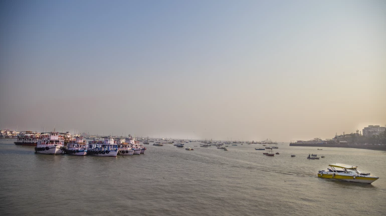 Environmental Clearance Granted for Madh–Versova Bridge Environmental Clearance Granted for Madh–Versova Bridge