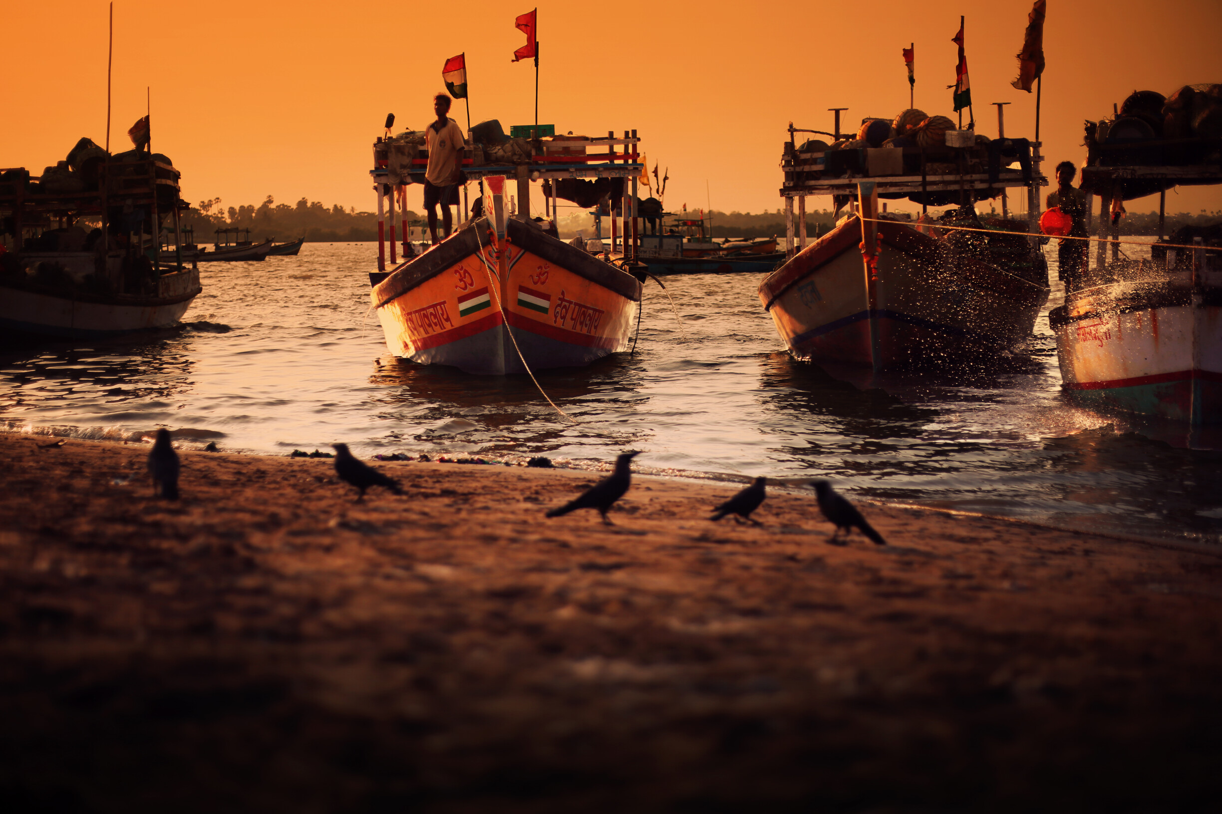 Mumbai Coastal Road Project: No Obstruction for Fishermen at Lotus Jetty, assures BMC