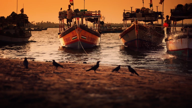 मुंबई- लोटस जेट्टी पर मछुआरों के लिए कोई रुकावट नहीं