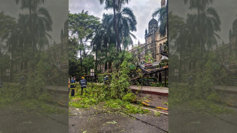 कोरोना वायरस - बीएमसी ने तेज की लड़ाई, रोजाना जोड़ रहे 200 बेड्स कोरोना वायरस - बीएमसी ने तेज की लड़ाई, रोजाना जोड़ रहे 200 बेड्स