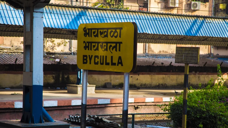 Mumbai's First Underground Local Train Station Likely To Come Up at Byculla Mumbai's First Underground Local Train Station Likely To Come Up at Byculla