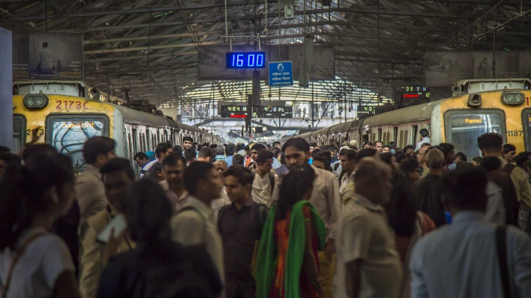 Mumbai Local News: Goregaon Bound Train Moves Towards Vashi After Receiving Wrong Signal Mumbai Local News: Goregaon Bound Train Moves Towards Vashi After Receiving Wrong Signal
