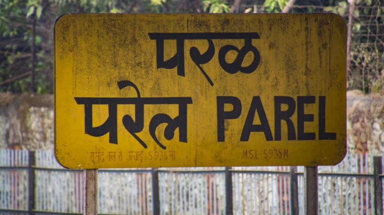 Central Railway planning railway terminus at Parel, may see the removal of up to 2,000 trees Central Railway planning railway terminus at Parel, may see the removal of up to 2,000 trees