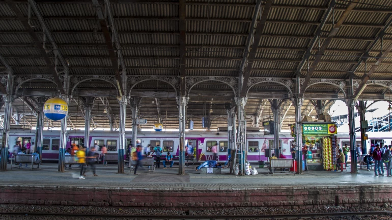 सेंट्रल रेलवे 24 नवंबर तक 'इन' 6 स्टेशनों पर प्लेटफॉर्म टिकट जारी नहीं करेगा सेंट्रल रेलवे 24 नवंबर तक 'इन' 6 स्टेशनों पर प्लेटफॉर्म टिकट जारी नहीं करेगा