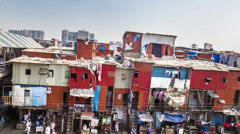 वांद्र्यातील अस्वच्छ रेल्वे मार्गाबाबत पश्चिम रेल्वेची कारवाई वांद्र्यातील अस्वच्छ रेल्वे मार्गाबाबत पश्चिम रेल्वेची कारवाई