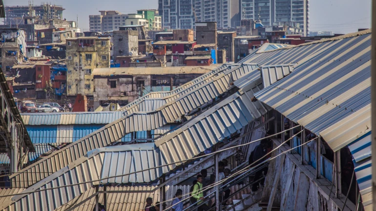 मुंबईतल्या 'या' भागात कोविड रुग्णवाढीचा दर सर्वाधिक मुंबईतल्या 'या' भागात कोविड रुग्णवाढीचा दर सर्वाधिक