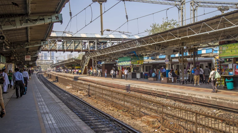 अनंत चतुर्दशी : चर्नी रोडला 38 फास्ट लोकल थांबणार अनंत चतुर्दशी : चर्नी रोडला 38 फास्ट लोकल थांबणार