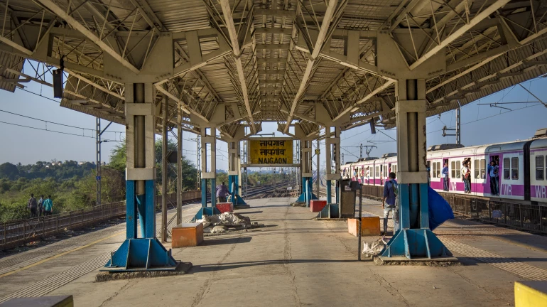 मुंबई - मध्य रेलवे पर जल्द ही एक साथ खुलेंगे 6 नए रेलवे स्टेशन मुंबई - मध्य रेलवे पर जल्द ही एक साथ खुलेंगे 6 नए रेलवे स्टेशन