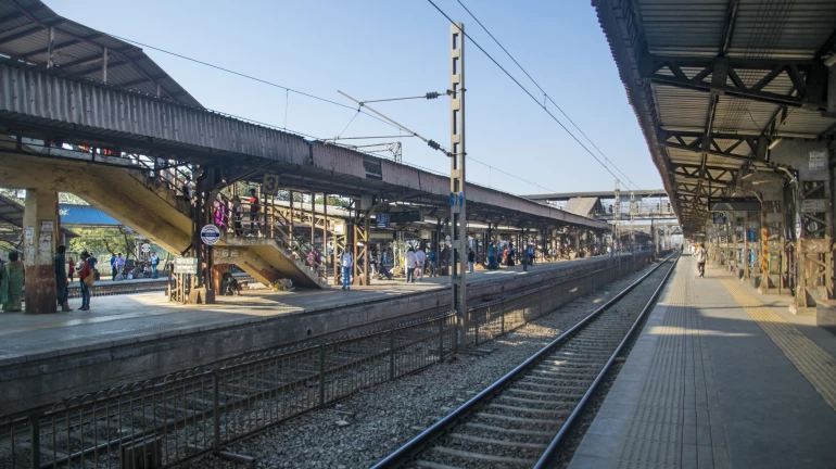 डहाणू-विरार रेल्वे मार्गाचा विस्तार: हायकोर्टाकडून खारफुटी तोडण्यास परवानगी डहाणू-विरार रेल्वे मार्गाचा विस्तार: हायकोर्टाकडून खारफुटी तोडण्यास परवानगी
